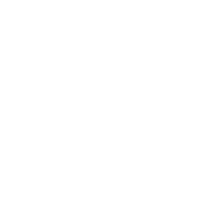 Electric Sunshine Cult